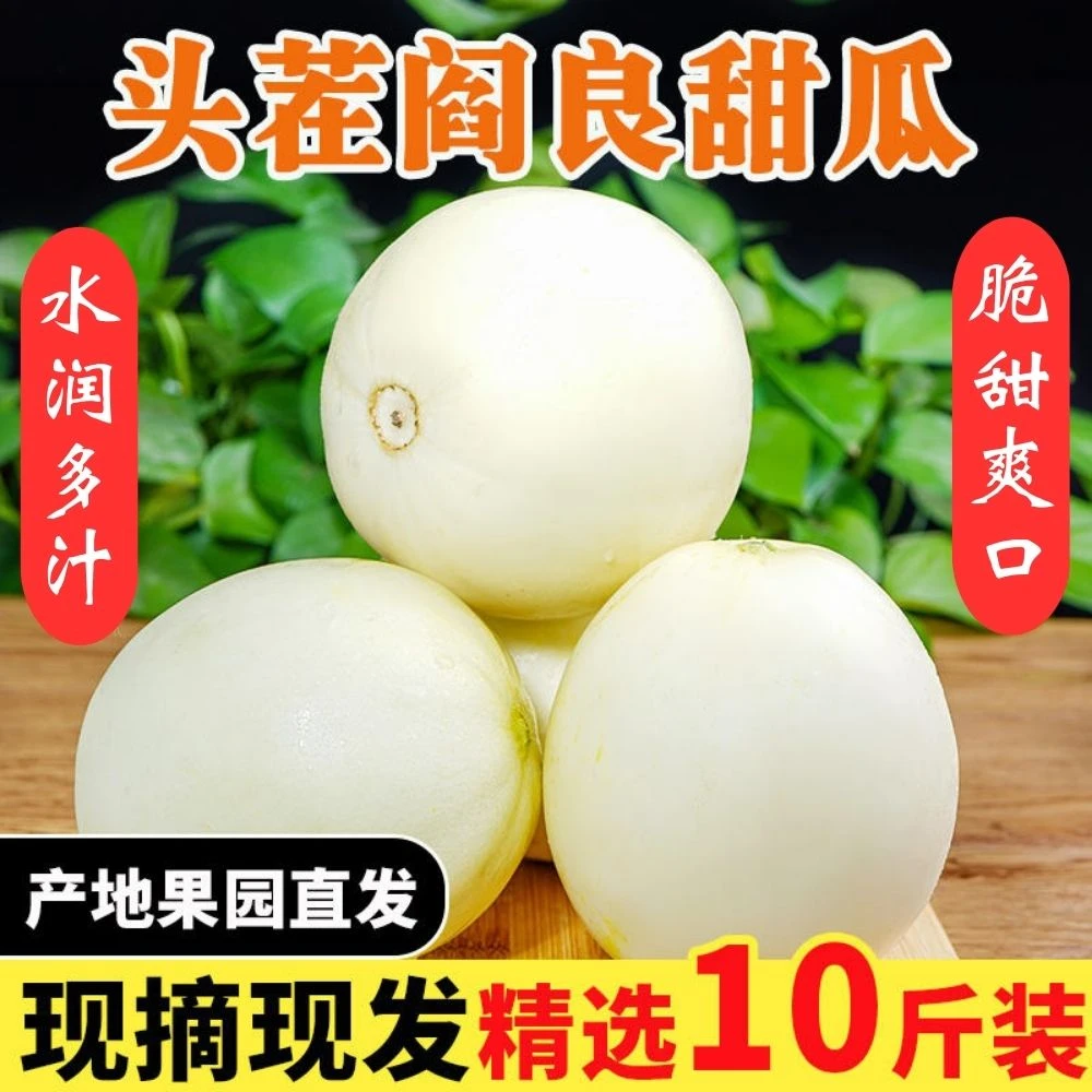 陕西正宗阎良甜瓜头茬香甜皮薄现摘现发5/10斤装软糯香甜产地直发