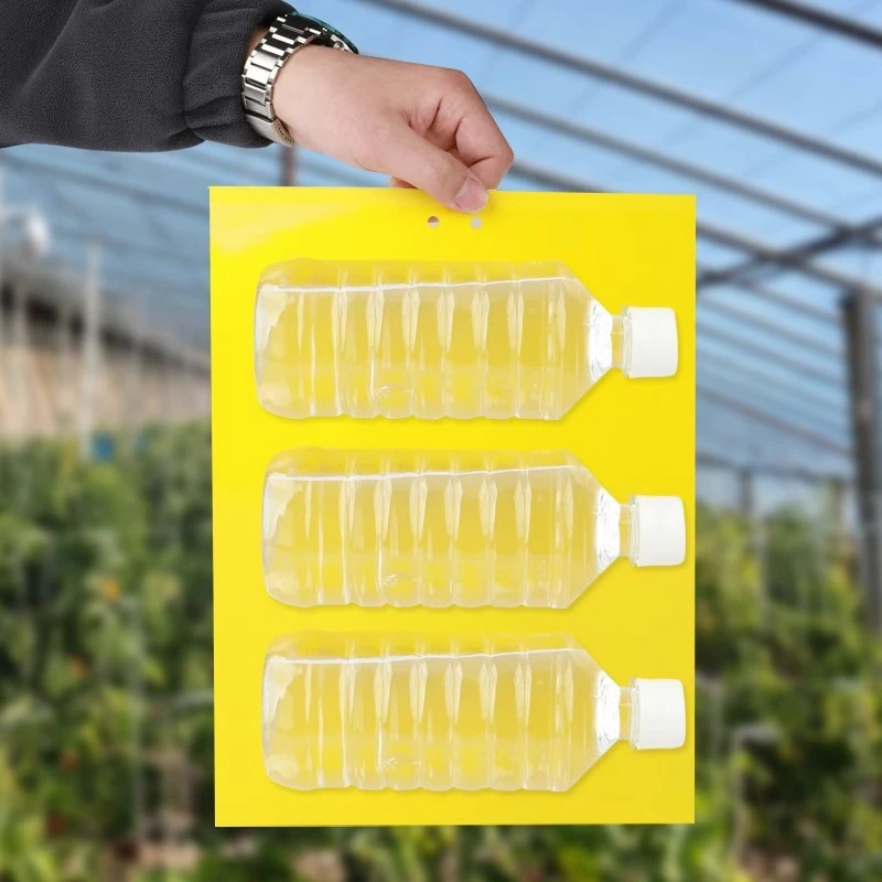 强黏粘虫板果园大棚专用黄板双面果实蝇诱捕器诱虫板贴纸农用蓟马