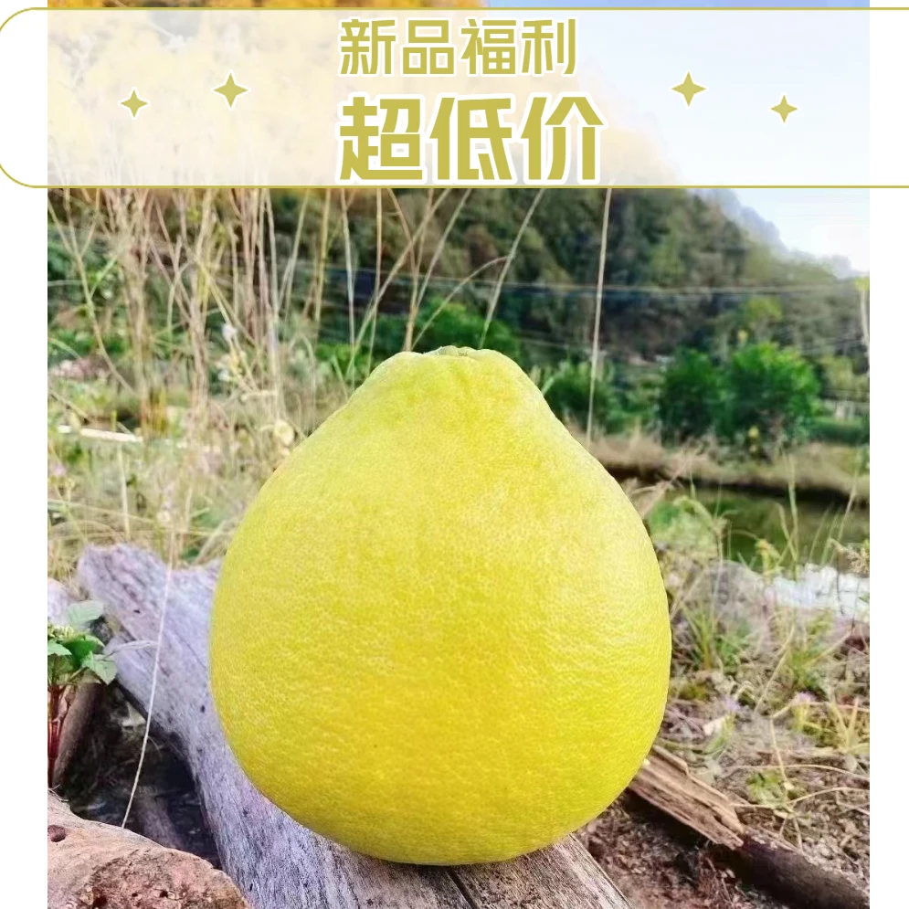 【电商福利】广东梅州梅县沙田柚农家柚子产地直发助农水果