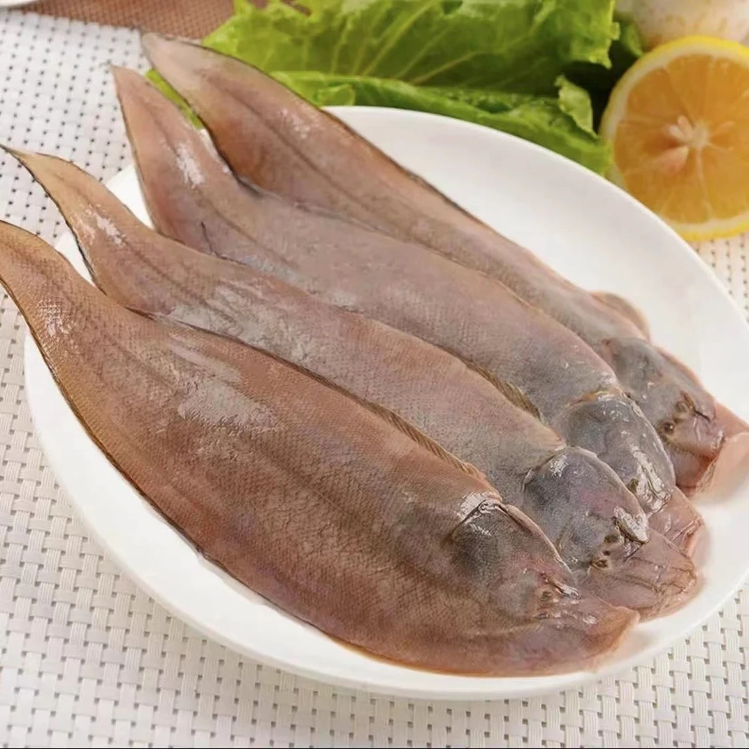 新鲜海捕龙利鱼 5斤 深海鲜活捕捞肉质鲜嫩辅食冷冻发货