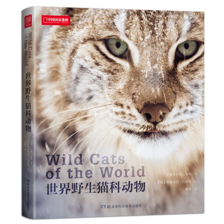世界野生猫科动物