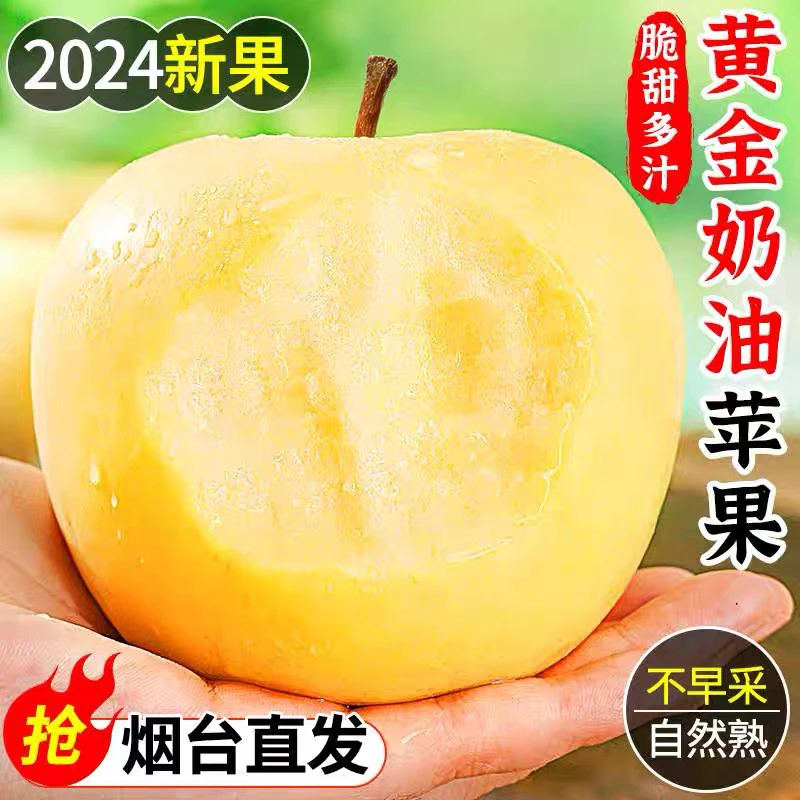 [助农]2024年新果奶油富士苹果新鲜果园直发5/9斤装黄金苹果脆甜