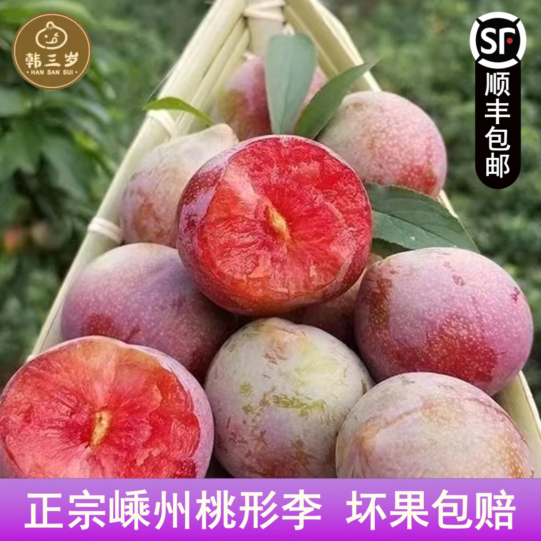 韩三岁嵊州特产桃形李新鲜水果现摘红心李顺丰冷链包邮