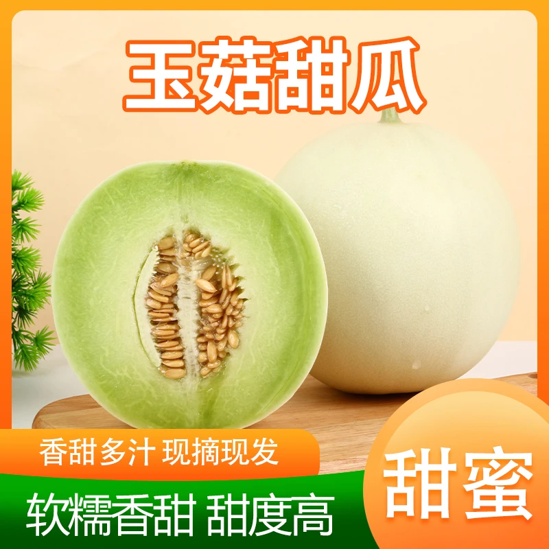 现摘山东玉菇甜瓜新鲜水果香瓜玉茹甜瓜1.5-9斤香甜软糯美味香瓜