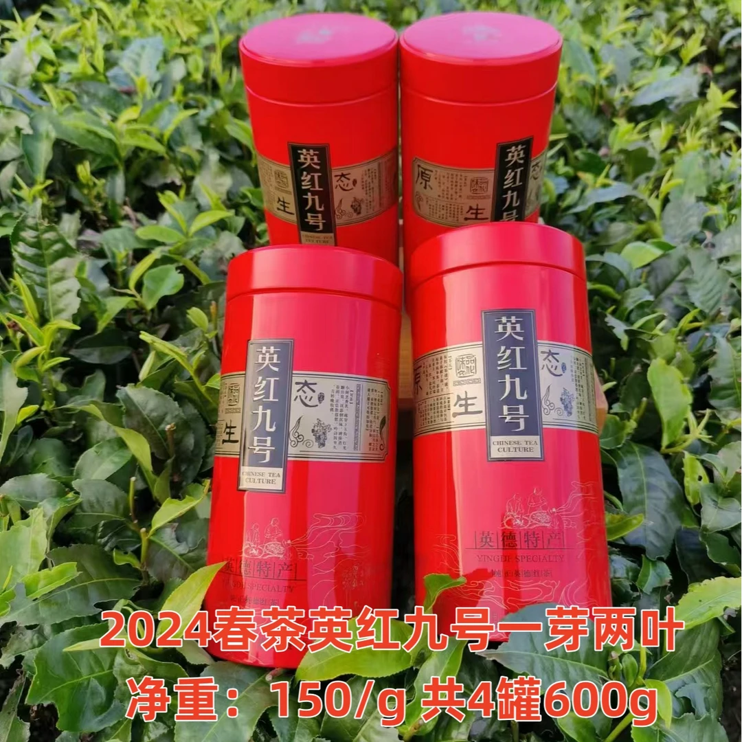 英德红茶， 英红九号 2024明前春茶，纯正英德的味道，核心产区。