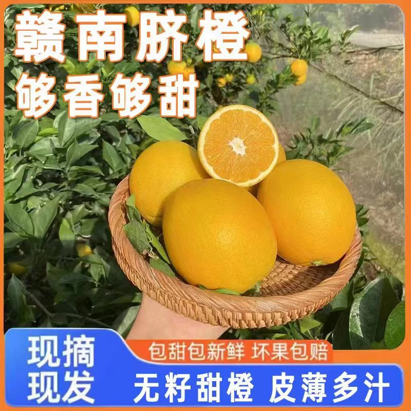 【正宗赣南脐橙】江西赣州橙子新鲜应季水果手剥爆汁甜橙子4.5/9斤