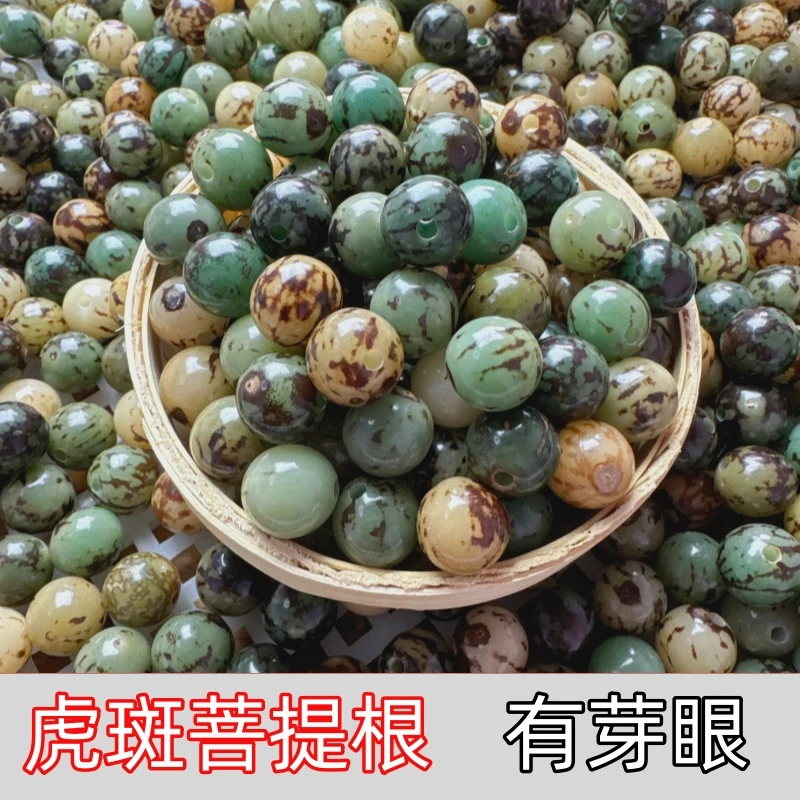 【有芽眼菩提根】虎斑菩提根花根菩提可DIY天然菩提根菩提子