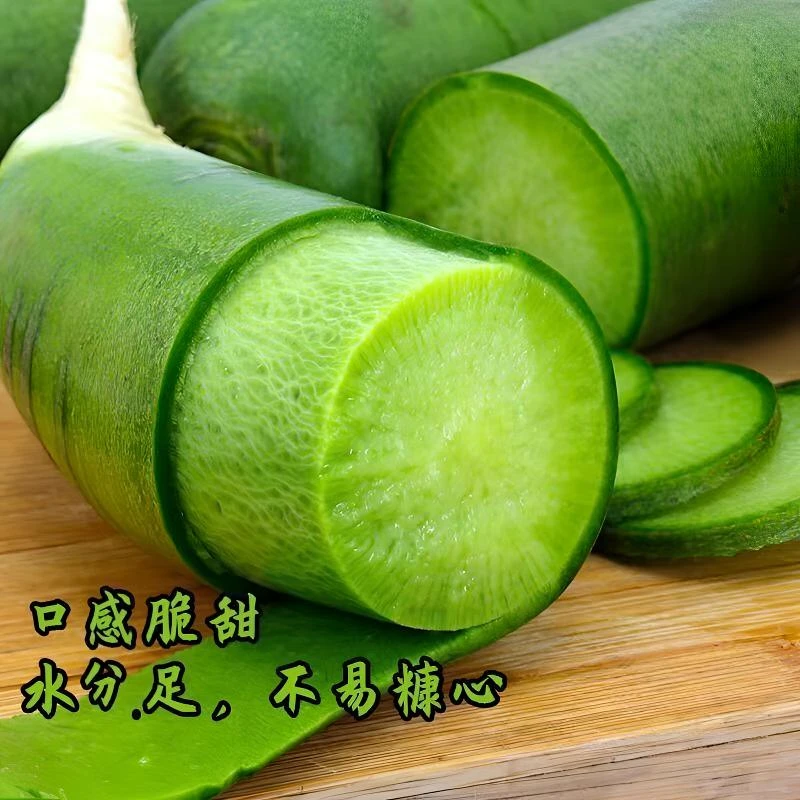 潍坊水果萝卜产地种植农家自种脆甜多汁微微辣产地直发新鲜沙窝