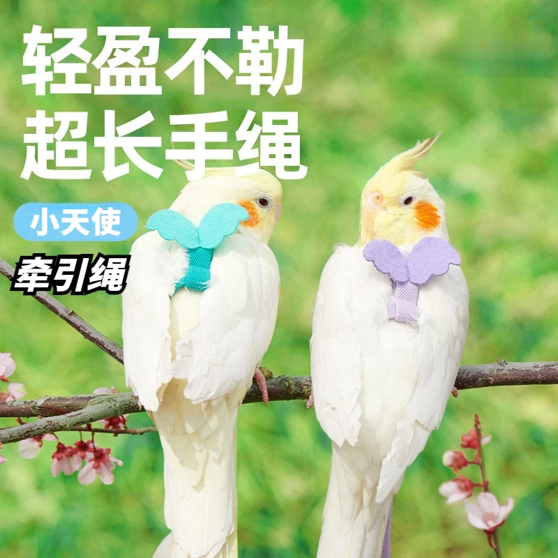 鸟用鹦鹉放飞绳虎皮玄凤牵引绳飞行外出背带遛鸟神奇鸟用品玩具