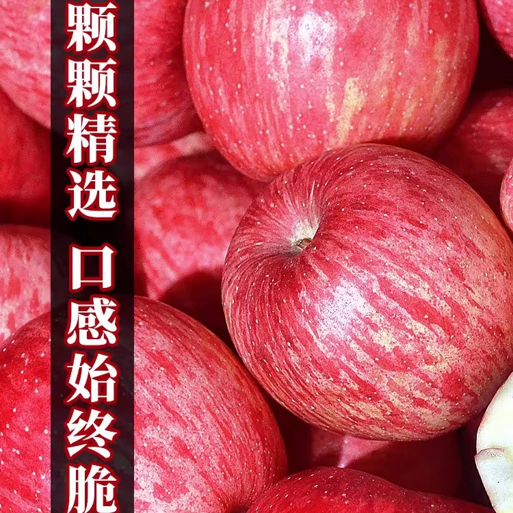 正宗陕西苹果红富士5-9斤新鲜孕妇水果时令脆甜陕西一级果精品