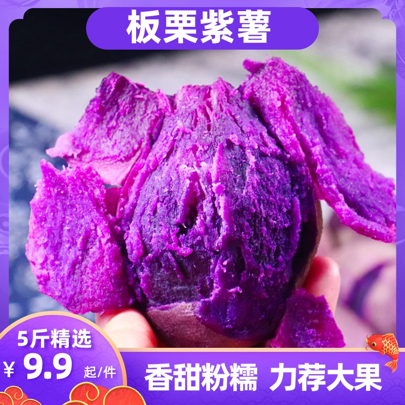 【主播补贴】沙地紫薯5斤/9斤 现挖板栗紫色红薯当季紫罗兰地瓜新鲜
