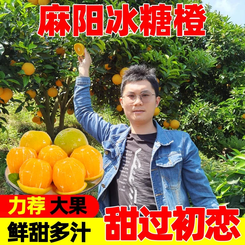 【补贴中】湖南麻阳冰糖橙9斤5斤当季新鲜水果手剥甜橙子脐血多汁10