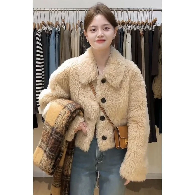 韩系轻熟高级感羊羔毛外套女秋冬洋气休闲小个子短款翻领夹克开衫