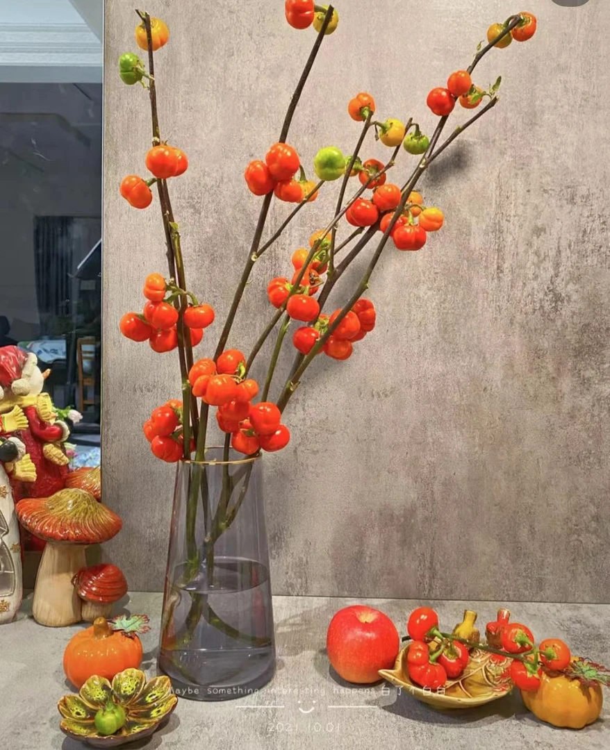 【小南瓜】小南瓜2扎鲜切花，节节高升可以做干花（坤）