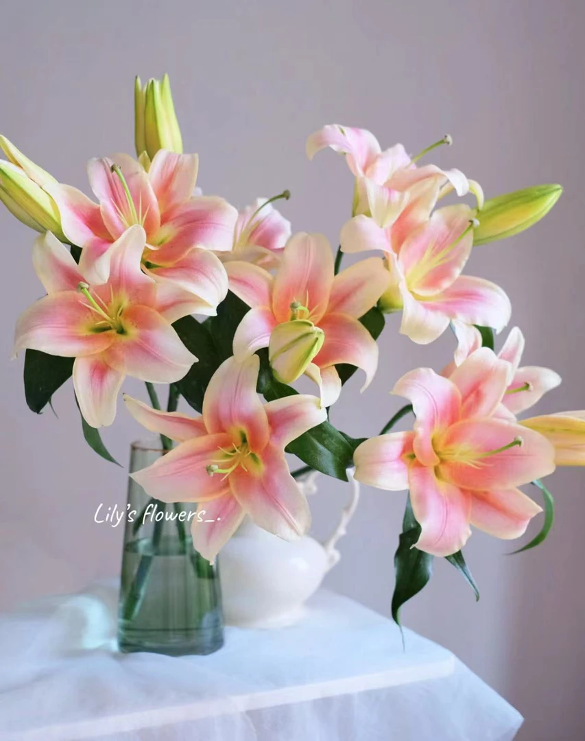 【一见钟情】一见钟情香水百合多头3枝（12-15个花苞），浓香型（坤）