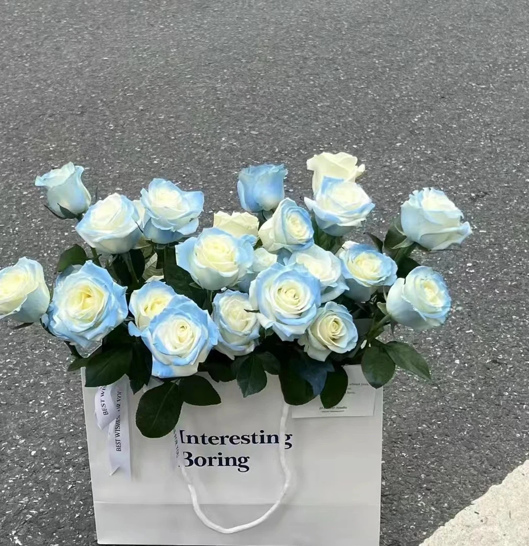 碎冰蓝玫瑰10支 花苞需醒花 云南基地直发 发出无法拒收