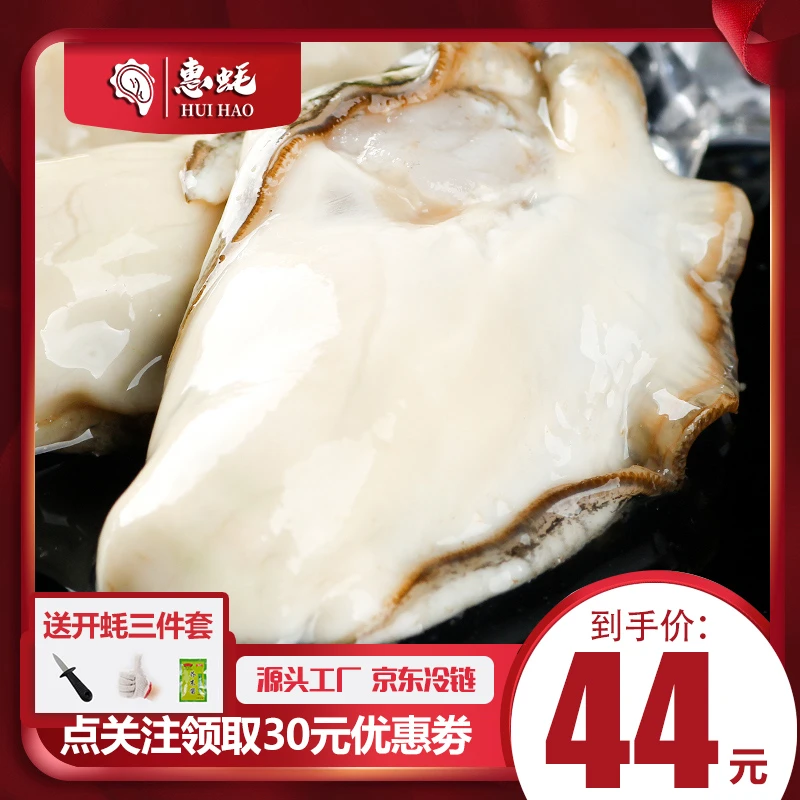 正宗鲜活乳山生蚝 5斤原产地现捞直发牡蛎包鲜包活包肥冷链包邮