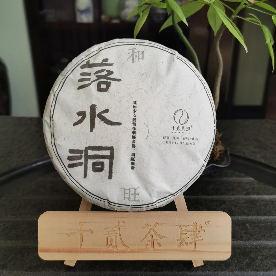 【十贰茶肆】2021年 落水洞易武 生茶200克-饼茶