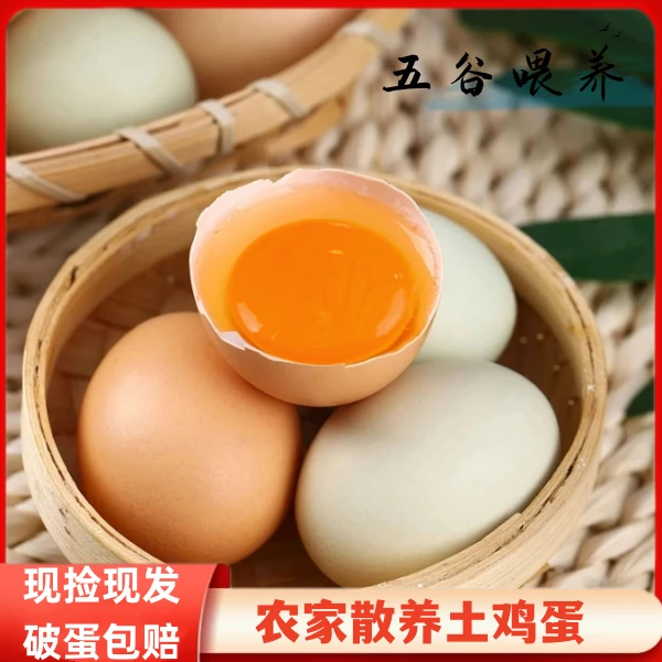 农村散养土鸡蛋.柴鸡蛋.新鲜营养健康早餐必备40克以上