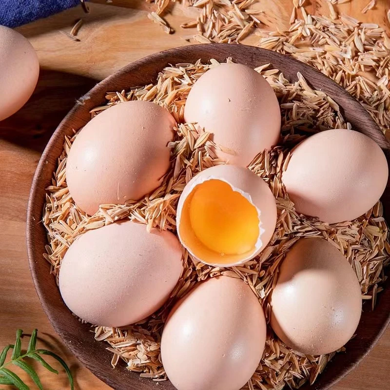 当季新鲜鸡蛋新鲜土鸡蛋农家散养林间农村散养土鸡蛋5020克左右