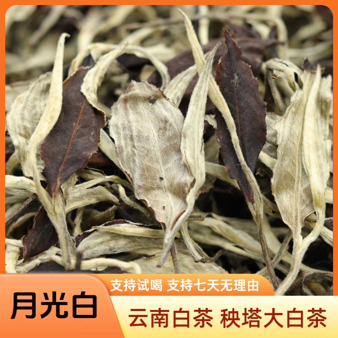 【月光白】云南白茶月光白景谷大白茶月光白散茶