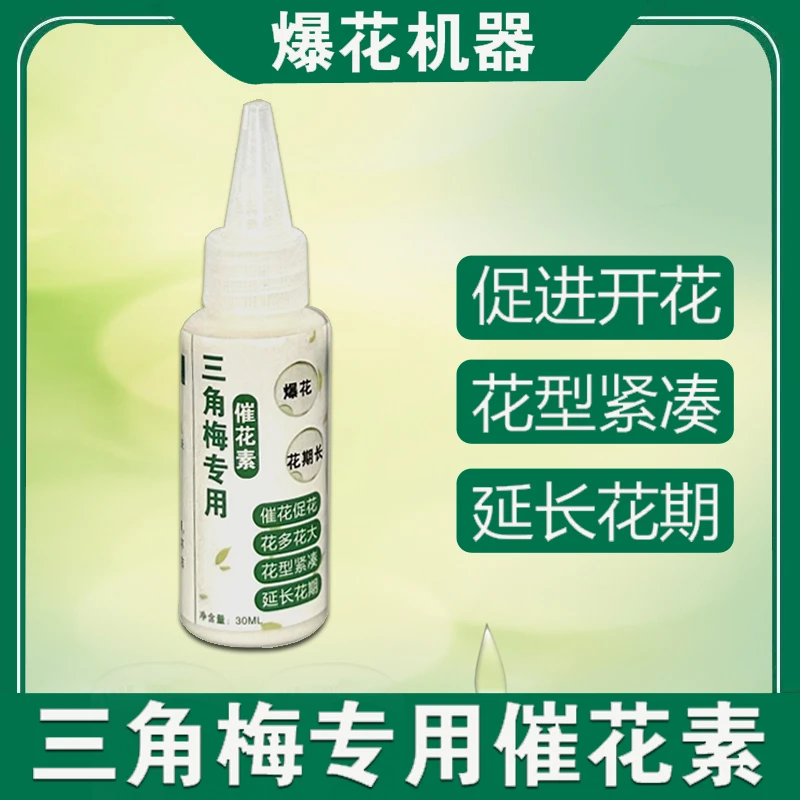 【三角梅催花素】三角梅开花控水时补充养份花量更多花型紧凑