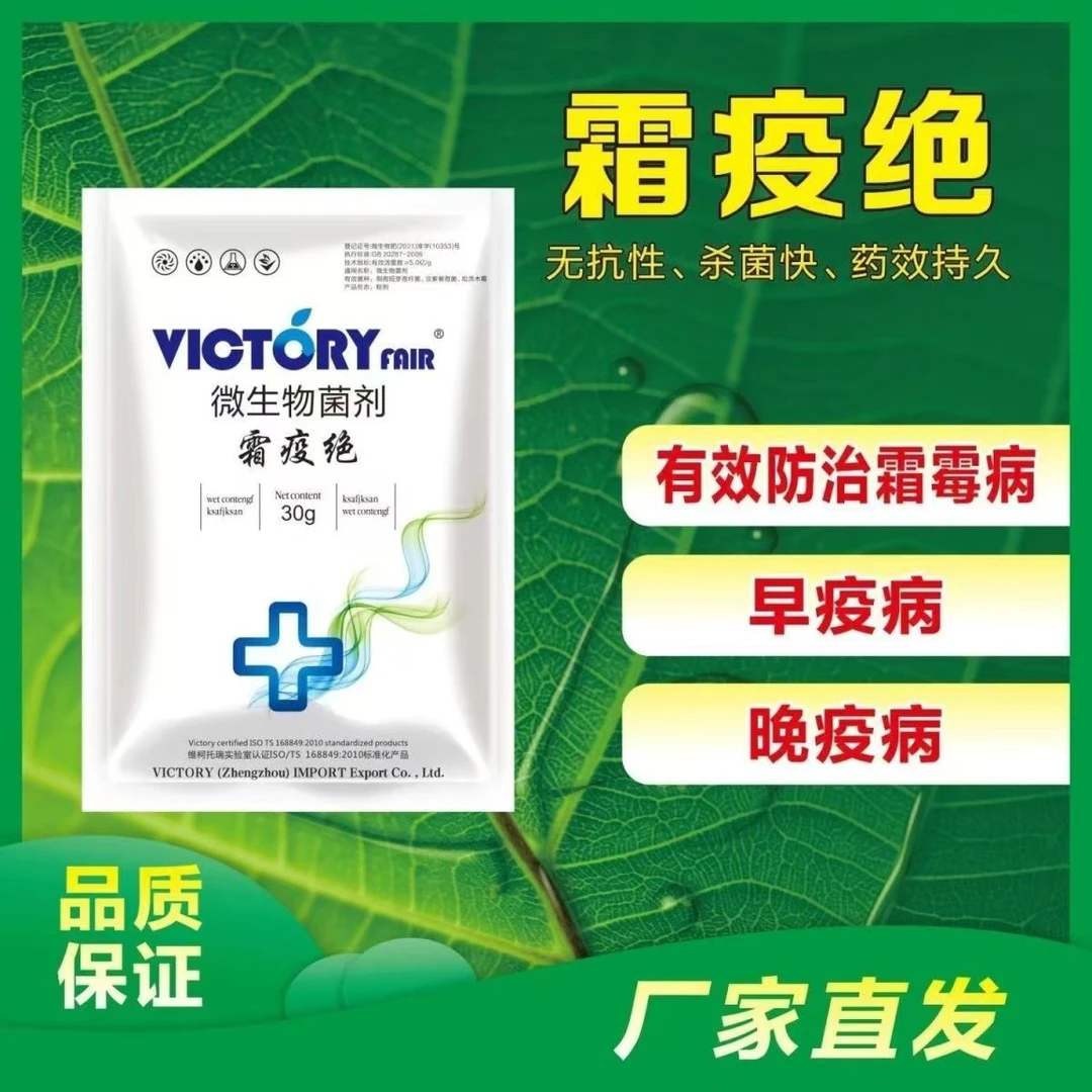微生物菌剂霜疫绝专治黄瓜霜霉病辣椒番茄疫病微生物菌剂