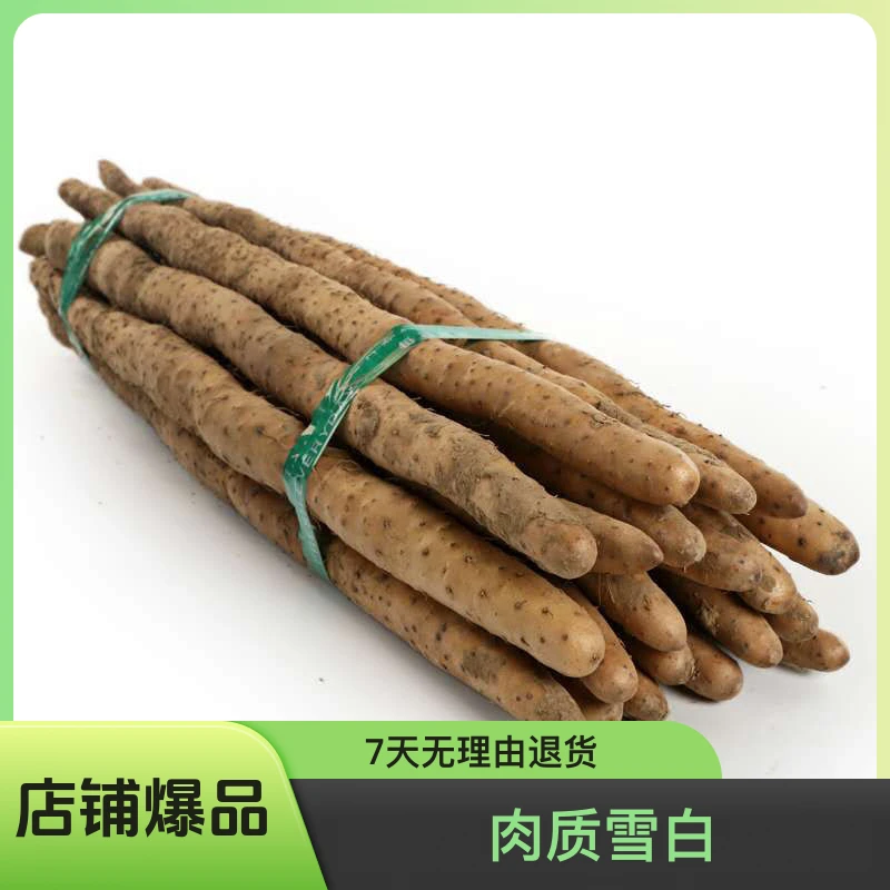 垆土地铁棍山药新鲜现挖软糯香甜营养高怀山药