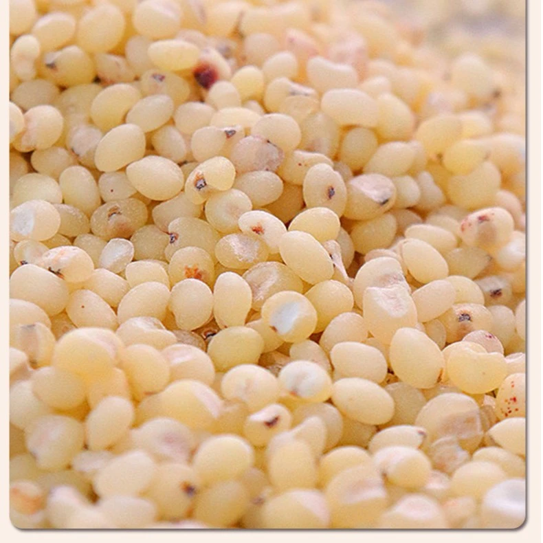 【福利购】东北高粱米 优质粗粮2.5kg 家庭装