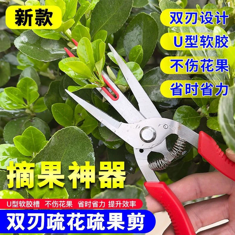 农用疏花剪刀疏果双口剪不锈钢煅打苹果树梨树果农帮手稀花神器