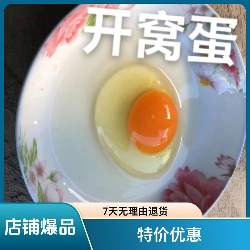 徽泉农场 特价优惠正宗散养开窝土鸡蛋75~100枚