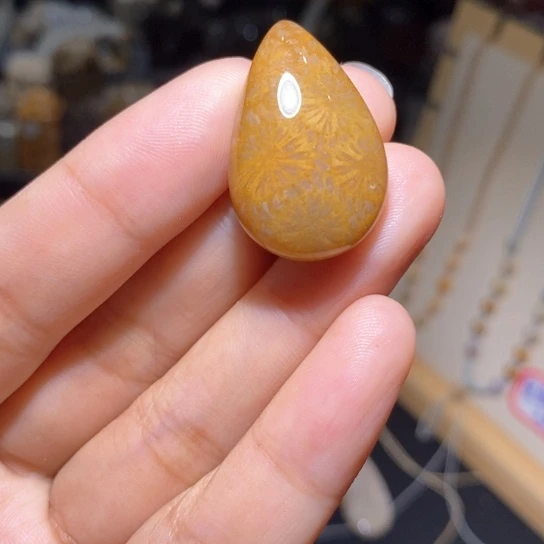 【闪购商品】硅化玉颈饰未镶嵌