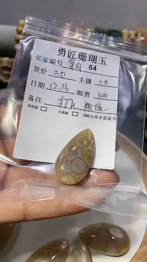 【闪购商品】硅化玉颈饰未镶嵌64