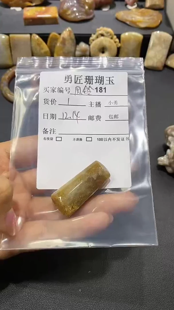 【闪购商品】硅化玉颈饰未镶嵌181