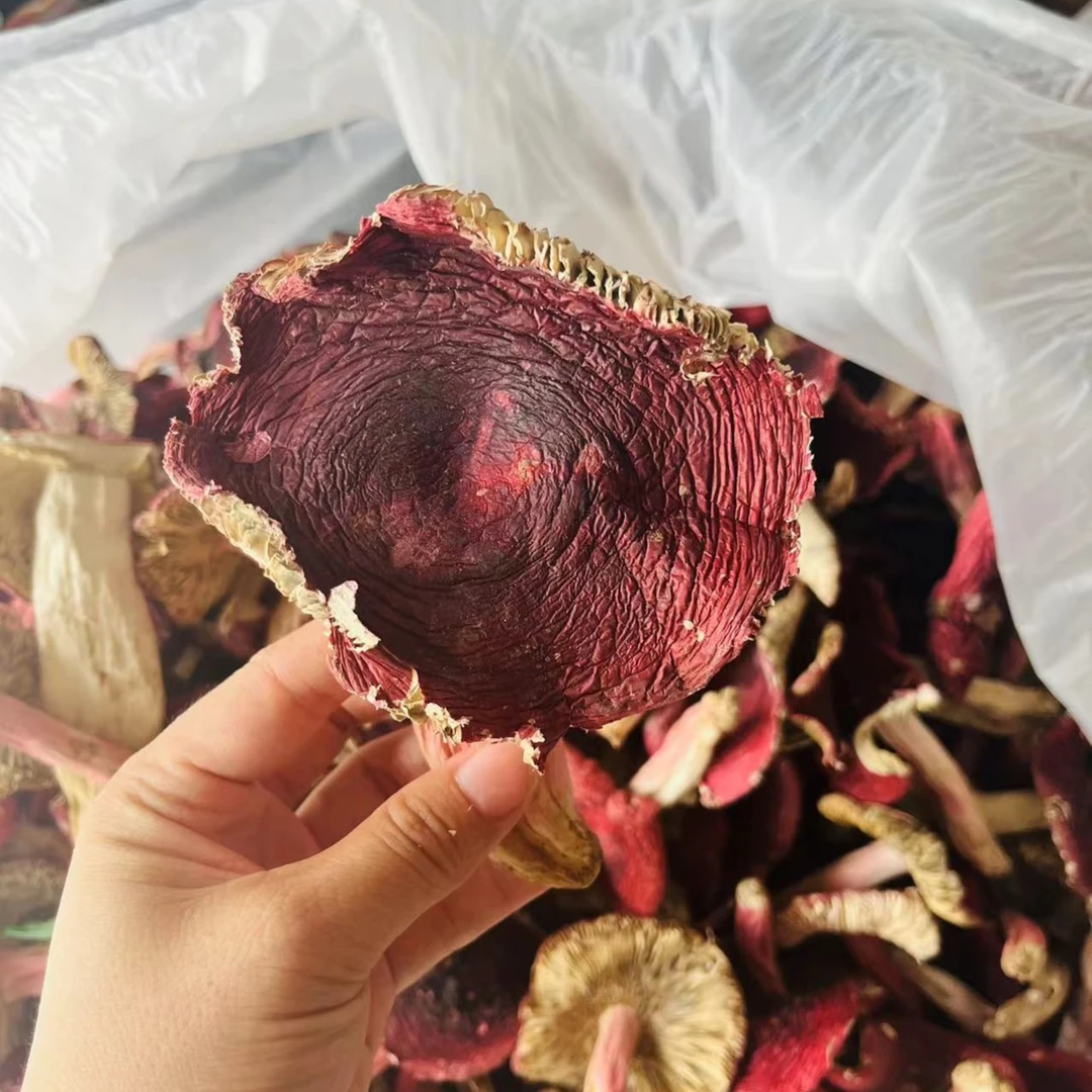 云南野生大红菌景东红菇150g开菇