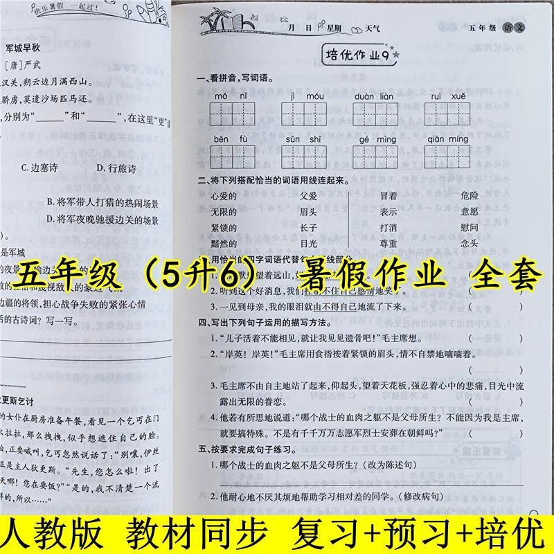 人教版五年级暑假作业五升六年级暑假衔接教材五年级下册暑假作业