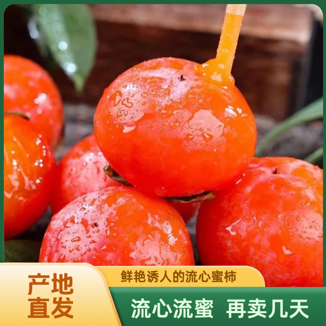 【1箱30枚】流心蜜柿