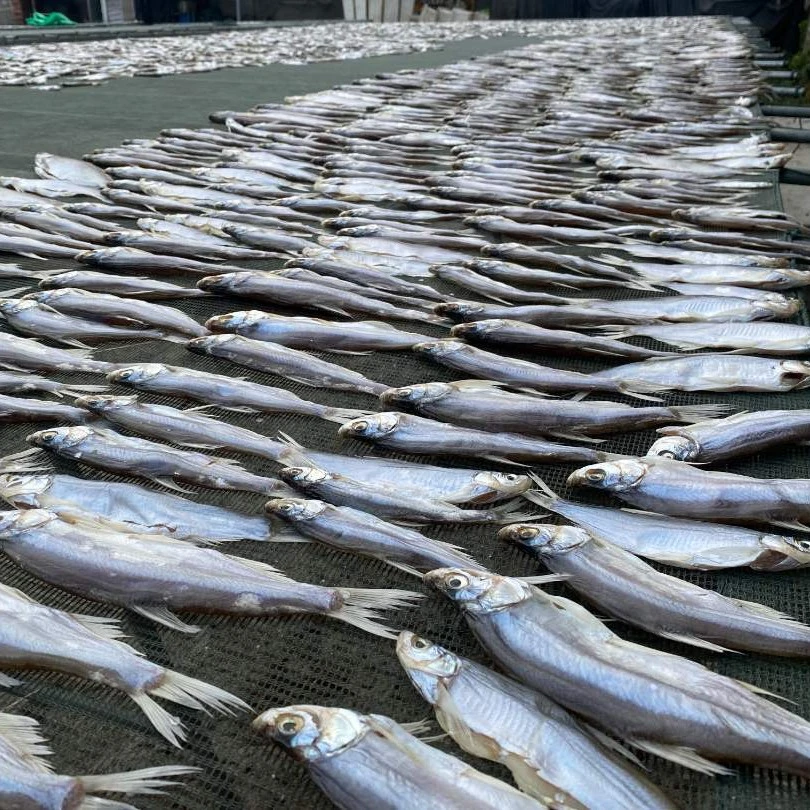 大别山小河鱼腌翘嘴鱼腌咸鱼风干大 中号500克/250克小鱼干自然