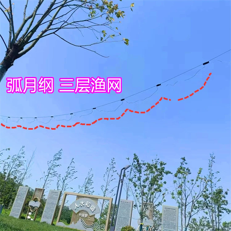 弧月纲三层渔网柔丝粘鱼网5分6分7分8分9分眼白条网麦穗网餐鱼网