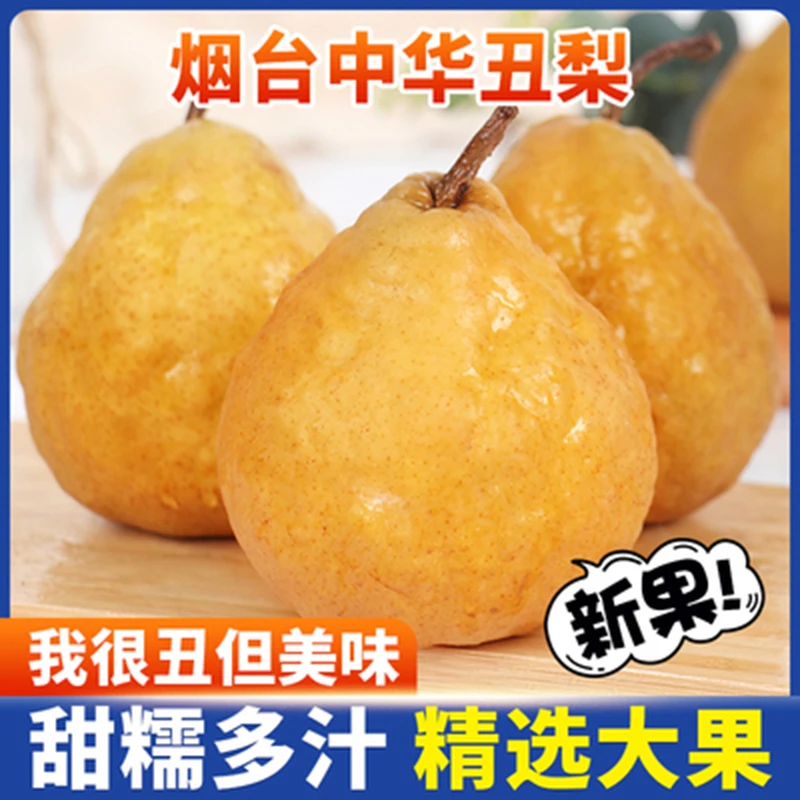 【放软吃】软糯香甜中华丑梨正宗烟台新鲜太婆莱阳啤梨大果水果