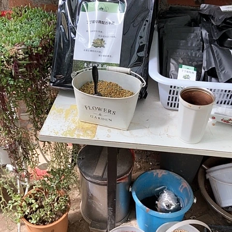 植物通用有机配方羊粪一袋