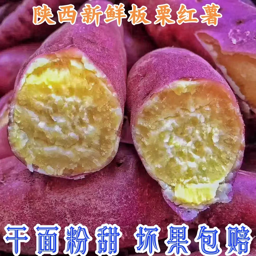 陕西正宗板栗红薯沙地现挖新鲜番薯农家自种干面粉甜地瓜2/5/9斤