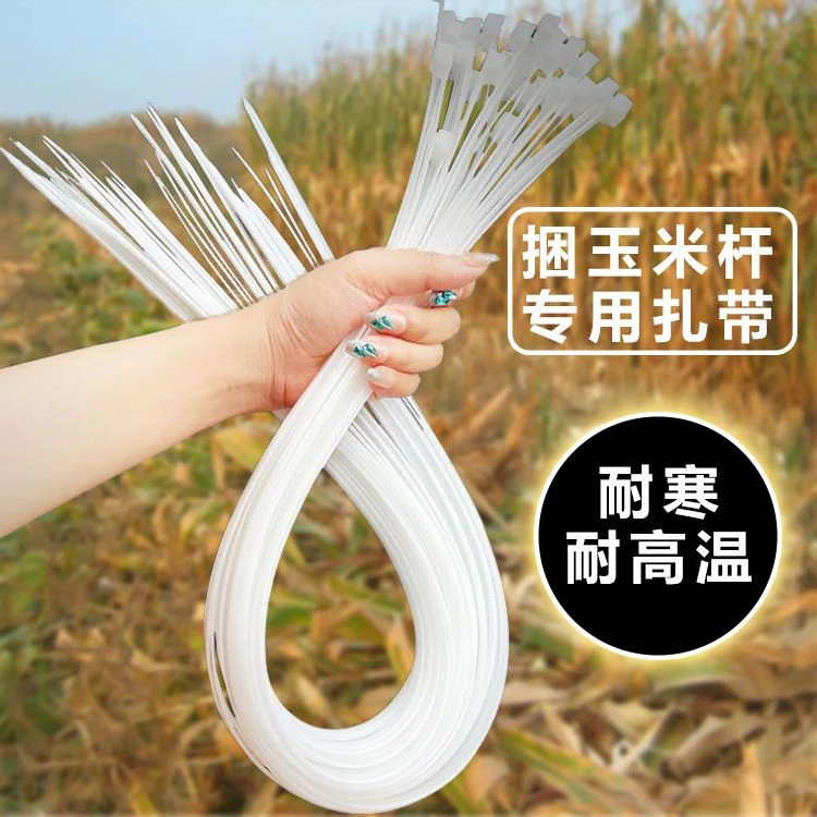 活扣捆玉米秸秆尼龙扎带强力大号超长可重复用捆玉米杆塑料束线带