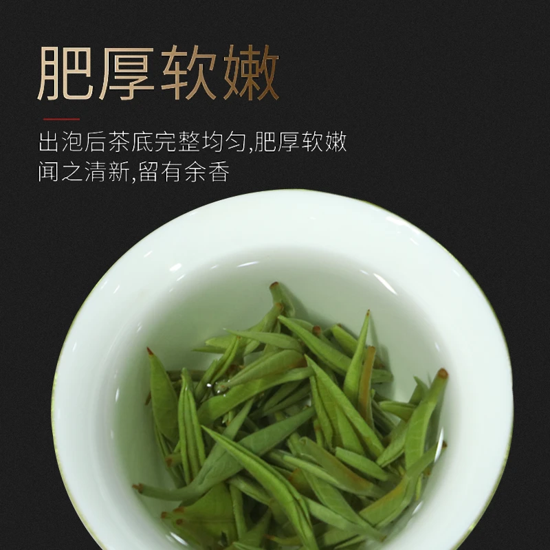 {云南高山滇绿雪龙}绿茶2024新茶绿茶头春头采豆香高山滇绿青绿茶