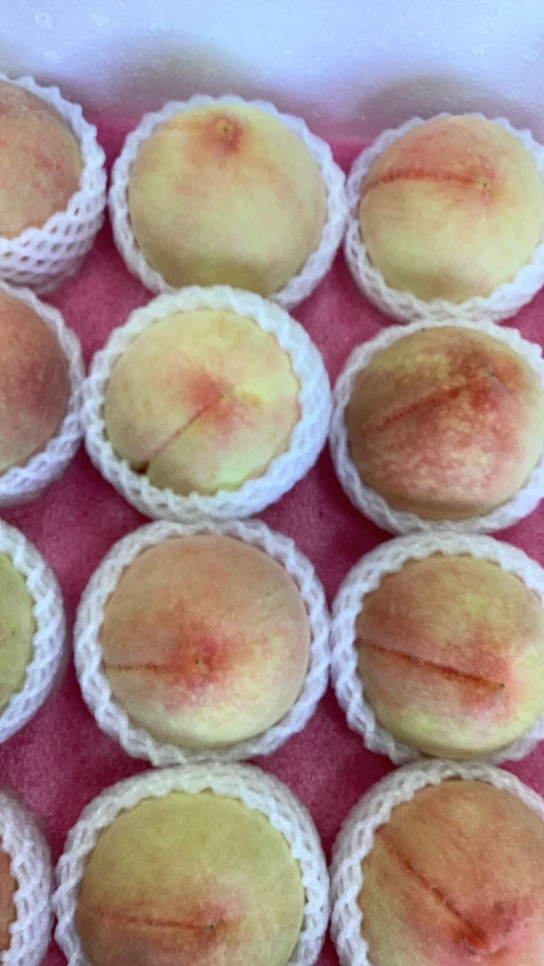 无锡阳山水蜜桃250g