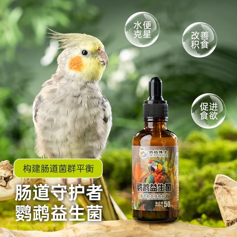 鹦鹉益生菌肠道守护积食拉稀水便腹泻肠道调理助消化鹦鹉活性菌