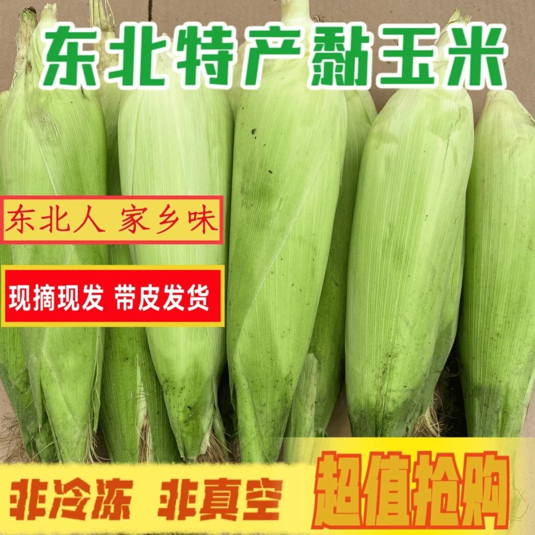 东北黑龙江 黏玉米6穗  现摘现发 带叶发货