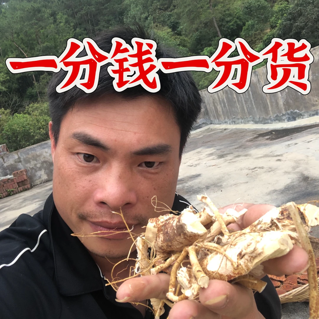 一条条清洗精选黄金七指毛桃根(泡酒煲汤）鲜晒干货/一斤装农产品
