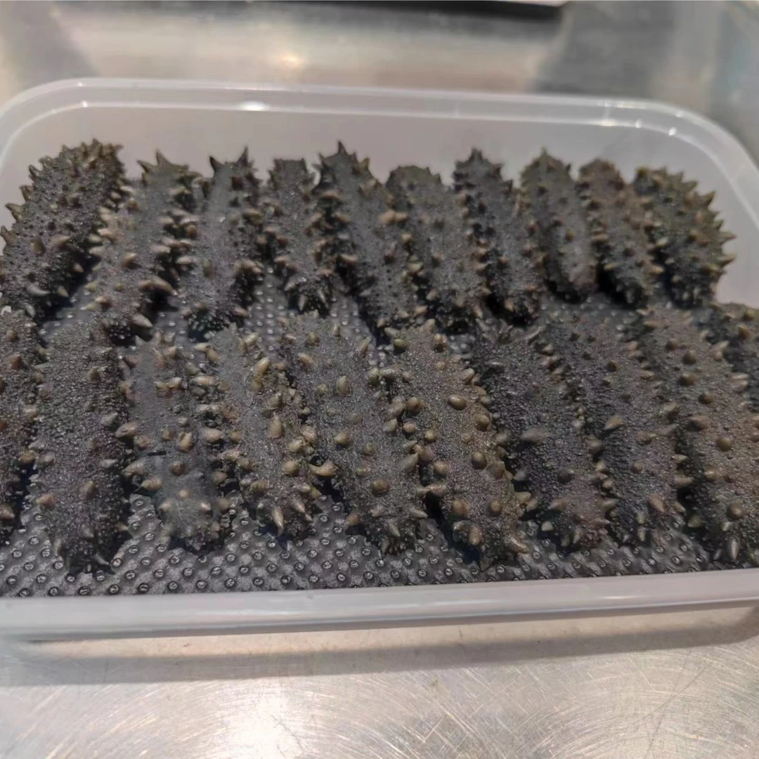 大连零添加顶火半干海参(20-30头)一斤500克