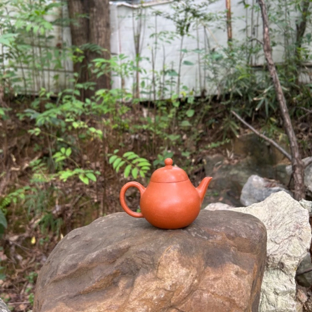 宜兴紫砂壶 小梨 降坡 容量约 130cc